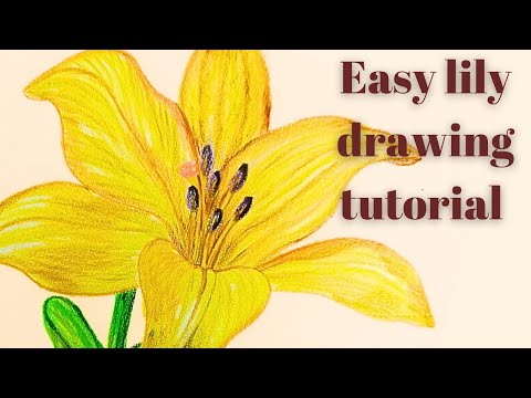 Easy yellow lily drawing 🌼 #colorpainting