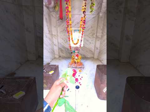 🌺🍀⛰️🏝️ Radhe Krishna #song #reels