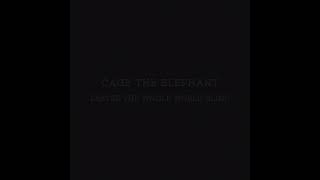 Leaves The Whole World Blind - A Cage The Elephant Curated Mix