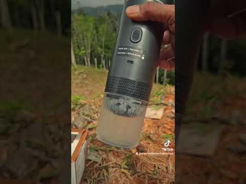 Coffee in the Wild