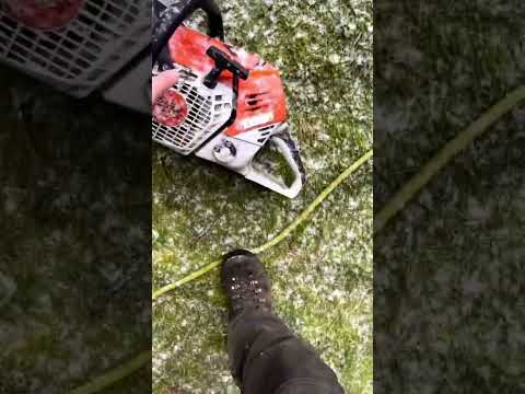 Where to put your chainsaw #shorts