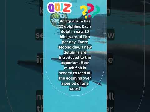 Animal | Dolphin  | Quiz - solve it  #wildlife #TheSummerGame