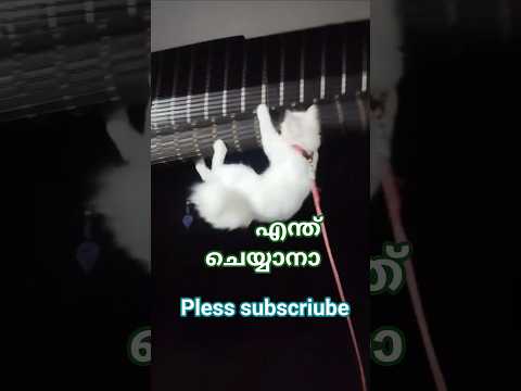 #trending #love #trendingshorts #shortvideo #newsong #trendingshorts #shorts #subscribe #travel