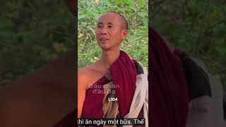 L104 #ThichMinhTue #inspiration #BuddhistSutras #LichDTran #lich1299