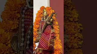 garba celebration in school #schoolprogram #folkdance #guna #garba #shrigurukul