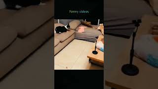 chinese and pets funny viral shorts #trending #funnyfamily #virashorts #funnytechvideos