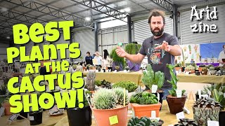 Hunting for the RAREST and CRAZIEST plants at the NSW cactus show