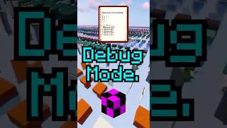 Minecraft Debug Mode...