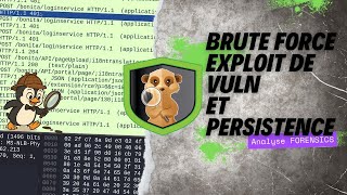 Unmask a hacker with JQ & Wireshark!!! - HTB Sherlocks - Meerkat