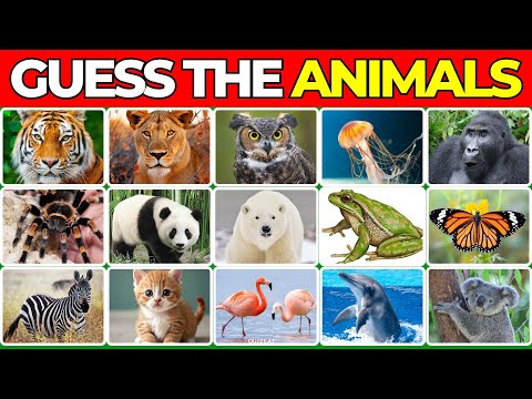 Guess the Animals in 5 seconds🐶🐸 | Quizeat