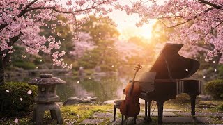 Sakura Serenade 🌸 Relaxing Instrumental Music | Romantic Piano & Strings for Dreaming