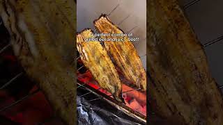 eel & beef rice bow #food #foodstagram #foodie #foodshorts #recipe #eel #beef