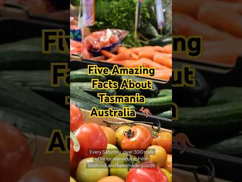 5 Mind-Blowing Facts About Tasmania! 🇦🇺🔥#YouTubeShorts #Shorts #Viral #Trending #Tasmania #Australia