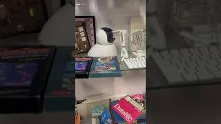 Early computers#vlog#1980’s computers# old mac#oldwindowscomputers