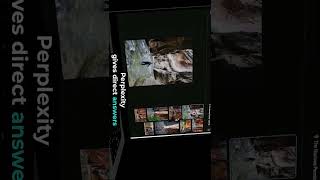 Google Killer? 🤯 Meet Perplexity AI!