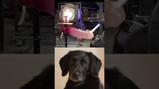 Guess the final product  #memes #funny #shorts