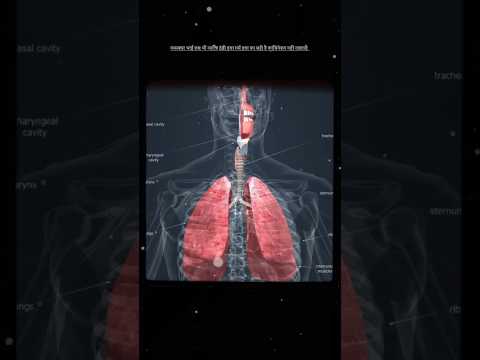 comment last word #facts #shorts #medicine #helth #viral