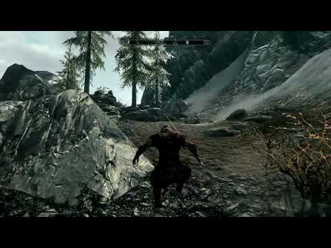 1 of 2 | SKYRIM GTX 760 vs GTX 1660ti LINUX MINT