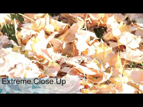 Sequences