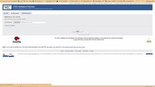 How to use the W3C CSS Validator