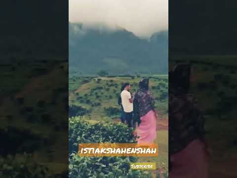 megahloy। hill side sin । #istiakshahenshah