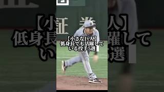【小さな巨人】低身長のスター投手5選　#プロ野球 #ピッチャー #低身長 #baseball #交流戦