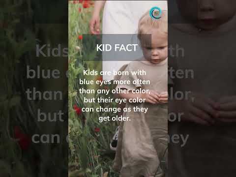 Kids fact. #shorts #kids #kidfacts