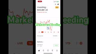 How I’m Surviving This Crash 💀 #stocks #everythingrobcrypto #stocktrading #robinhood #stockmarket