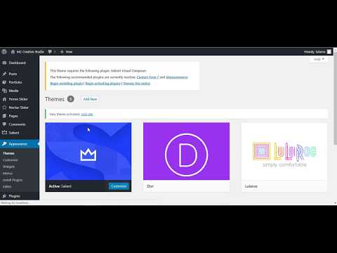 How to Install Salient Theme and Import Demo