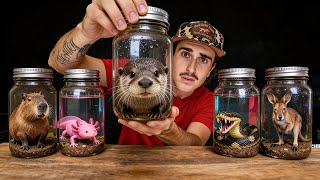 I Bought the Scariest Creatures Off the Web…
