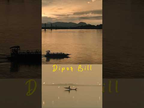 Dipor Bill | A Cinematic Journey through Guwahati’s Hidden Lake  #diporbil #cinematic #shorts