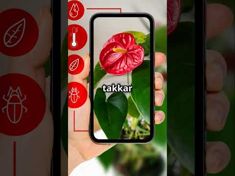 "₹500 में DSLR जैसा Camera!? 😳" #mobilehackshindi #desijugaad #smartphone #tech #androidtricks