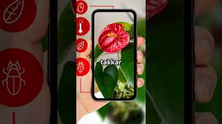 "₹500 में DSLR जैसा Camera!? 😳" #mobilehackshindi #desijugaad #smartphone #tech #androidtricks