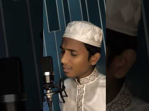 allama saidi