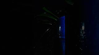 God Woke You Up For A reason Motivation Denzel Washington #subscribenow #motivation #nature #rain