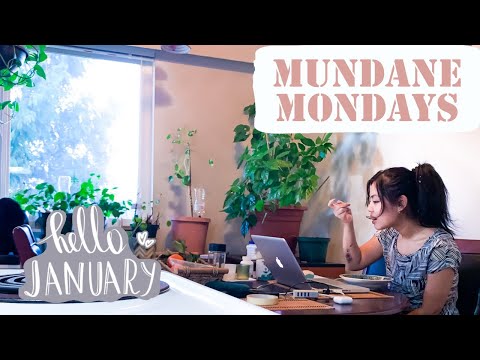 Life in January | Work from Home Routines | Typical Meals At Home | Diary (1)