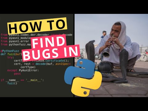 Finding Bugs in Python code using Fuzzing (pythonfuzz AFL fuzzer) - Python Security #1