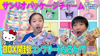 [Massive Unboxing❗️] Bought a Sanrio Package Charm Box❗️