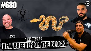 How Bright Is The Future For All New Ball Python Breeders? | The Recap New Breeder On The Block