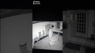 Holzer Files orb