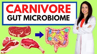 Carnivore Diet: What It REALLY Does to Your Gut (Stool Test Data Revealed)