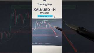 XAUUSD today update | XAUUSD Next Move | Gold Analysis & Forecast | Live Trading & Strategy 🏆🚀