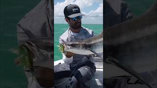 HOOKED UP 🔥 with the Battle IV Combo! 🎣 #PENNFishing #LetTheBattleBegin #YoutubeShorts #Cobia