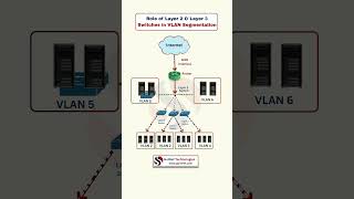 Layer 2 vs Layer 3 Switches Explained | VLAN Segmentation Made Simple