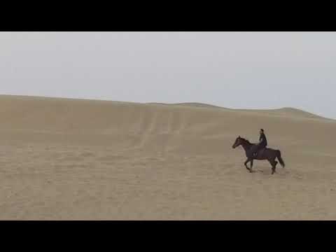 Dubai trip