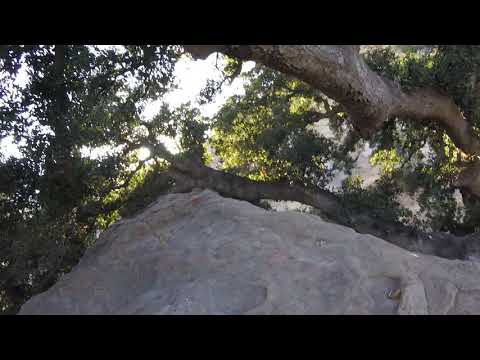 Stoney point LA climbing what feels like a V2-V3
