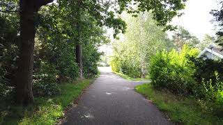 What about being a frontend architect?