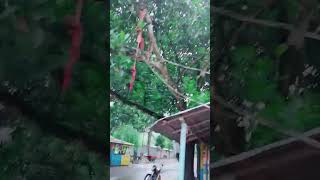 #ইসলামিক_ব্লগ #ইসলামিক_ভিডিও #হাদিসের_বাণী #ইসলাম শিক্ষা#গানের_ভুবন