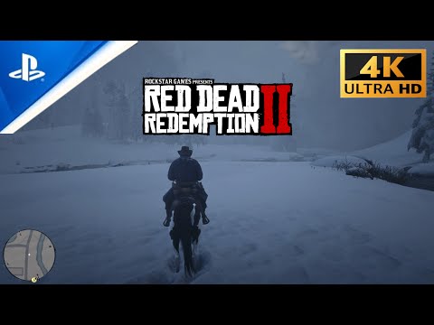 Red Dead Redemption 2 4K | #2