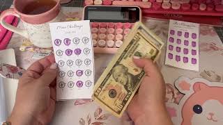 Cash Condensing | Completed Savings Challenges | Cash Stuffing 2025